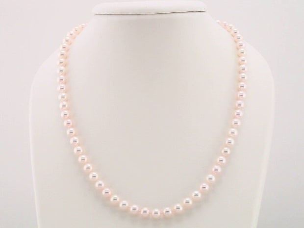 Pearl Necklace or Bracelet