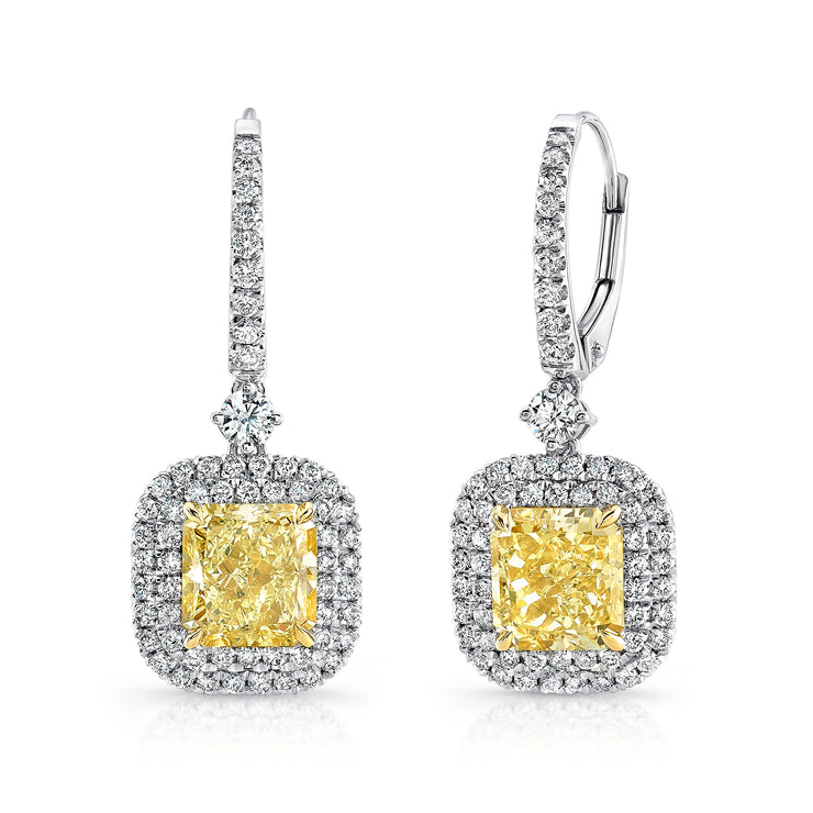 Uneek Natureal Collection Double-Halo Drop Earrings