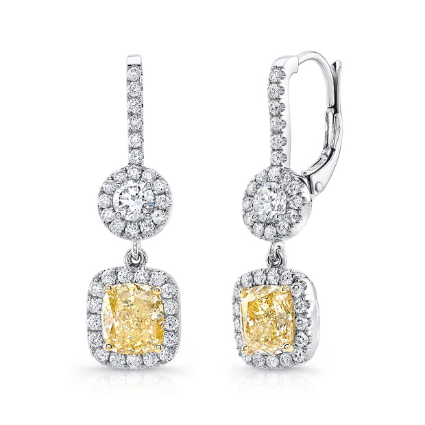 Uneek Natureal Collection Halo Drop Earrings