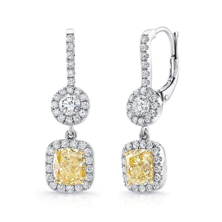 Uneek Natureal Collection Halo Drop Earrings